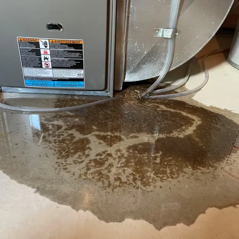 Appliance Leak Cleanup in New Brockton, AL